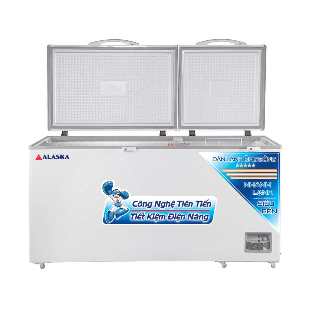 tủ đông 2 cánh dàn lạnh đồng 890 lít
